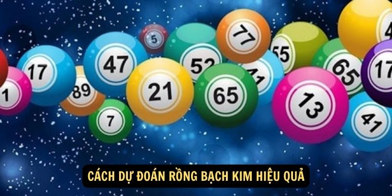 Cách Dự Đoán Rồng Bạch Kim hiệu quả