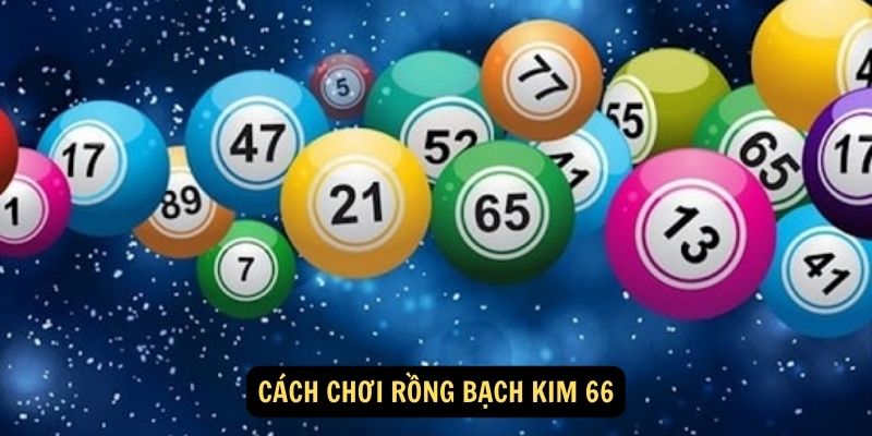 Cách chơi Rồng Bạch Kim 66