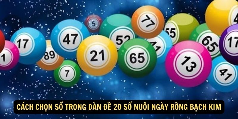 Cách chọn số trong dàn đề 20 số nuôi ngày Rồng Bạch Kim