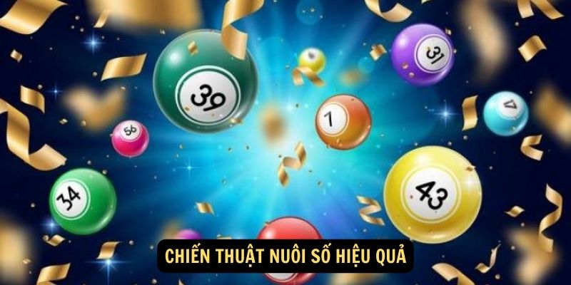 Chiến thuật nuôi số hiệu quả