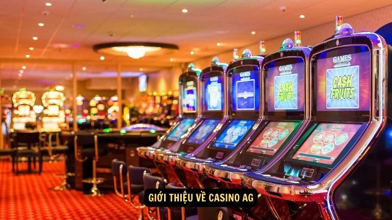 Giới thiệu về Casino AG