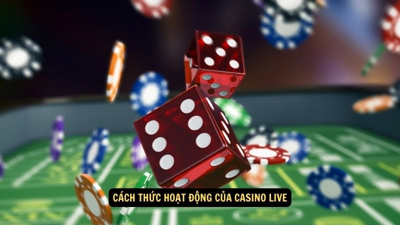 Cách thức hoạt động của casino live