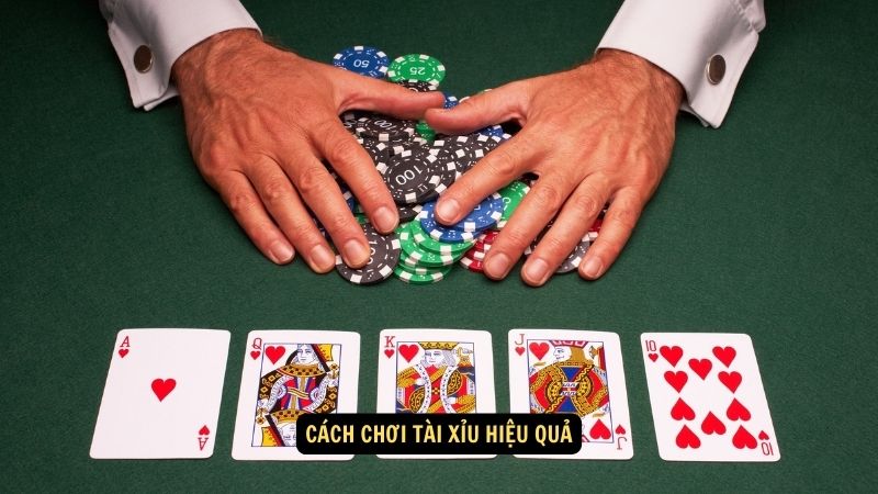 Cách chơi tài xỉu hiệu quả